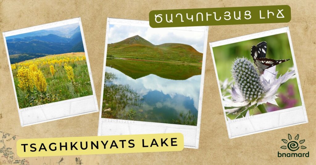 Hike to Tsaghkunyats lake
