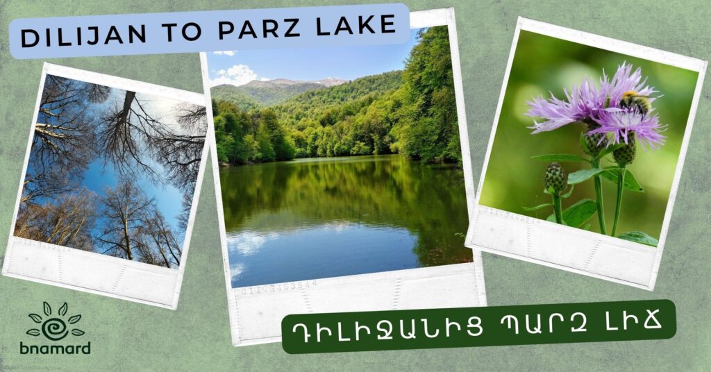 Dilijan to Parz Lake